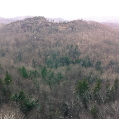 Auxier Ridge